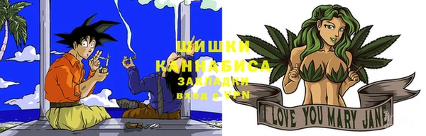 ГАЛЛЮЦИНОГЕННЫЕ ГРИБЫ Костерёво