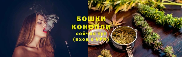 стафф Корсаков