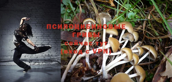 стафф Корсаков