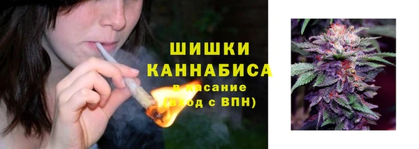 стафф Корсаков
