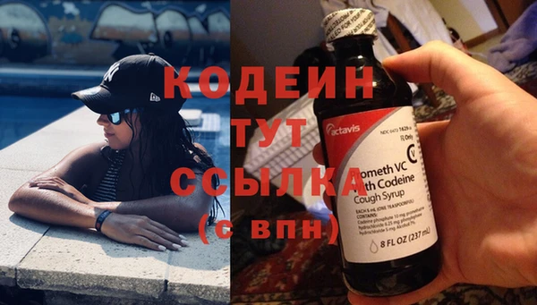 стафф Корсаков
