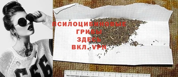 ГАЛЛЮЦИНОГЕННЫЕ ГРИБЫ Костерёво