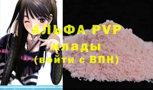 стафф Корсаков