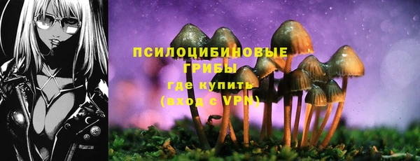 спиды Коряжма