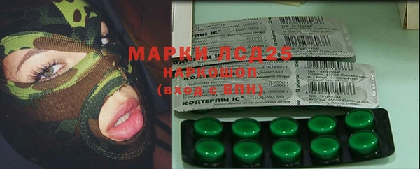 ГАЛЛЮЦИНОГЕННЫЕ ГРИБЫ Костерёво