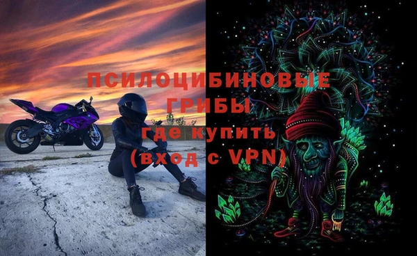 ГАЛЛЮЦИНОГЕННЫЕ ГРИБЫ Костерёво