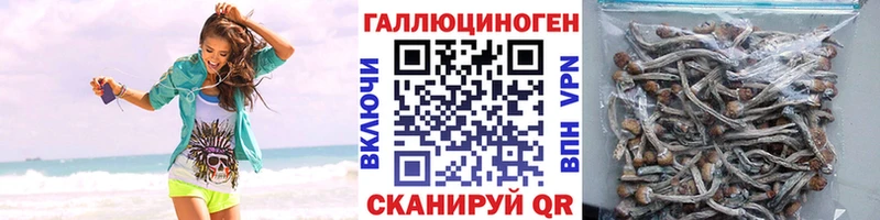 Псилоцибиновые грибы мухоморы Карачев